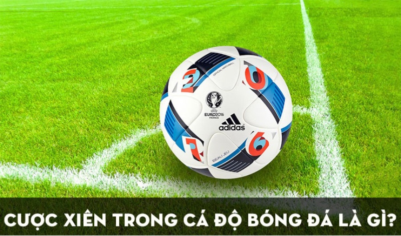 Hướng dẫn cách tính xiên mới nhất trong bóng đá